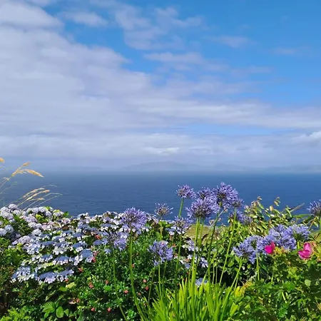Pure Nature *